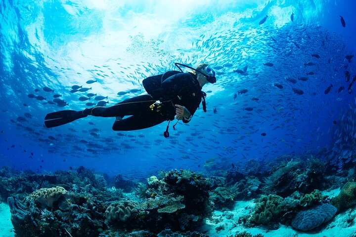 Fun Dives For Certified Divers - Photo 1 of 19